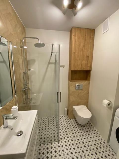 Loft V Apartment Namyslow