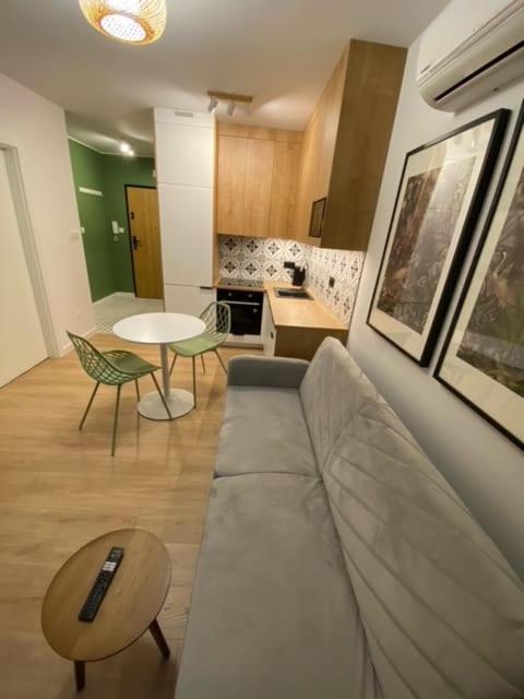 Apartment Loft V Namyslow